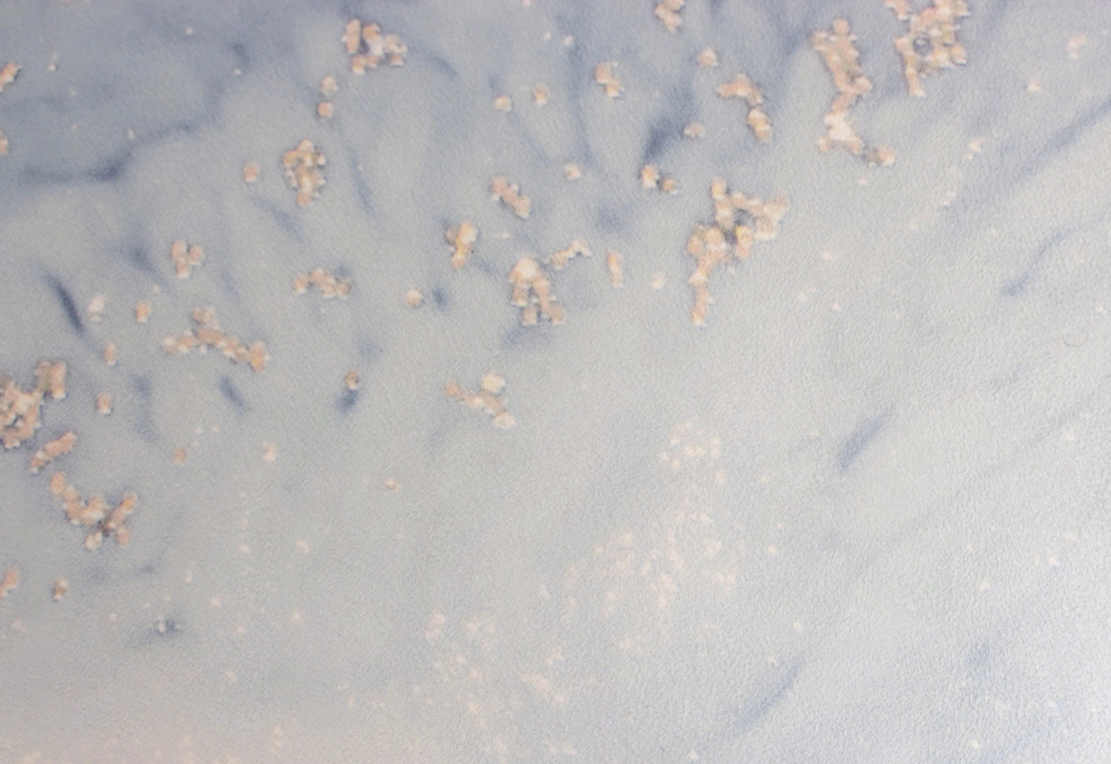 Kin Yoga Mats 'Halcyon Moon' ALL-IN-ONE mat