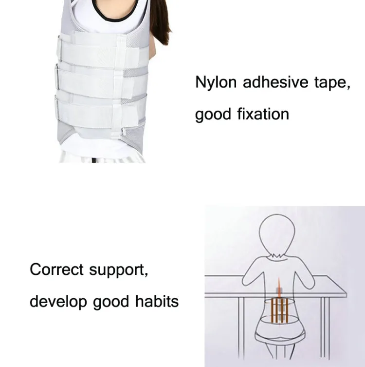 Regular Style Thoracolumbar Fixation Belt Strap Type Protective Gear Without Airbag, Specification: M
