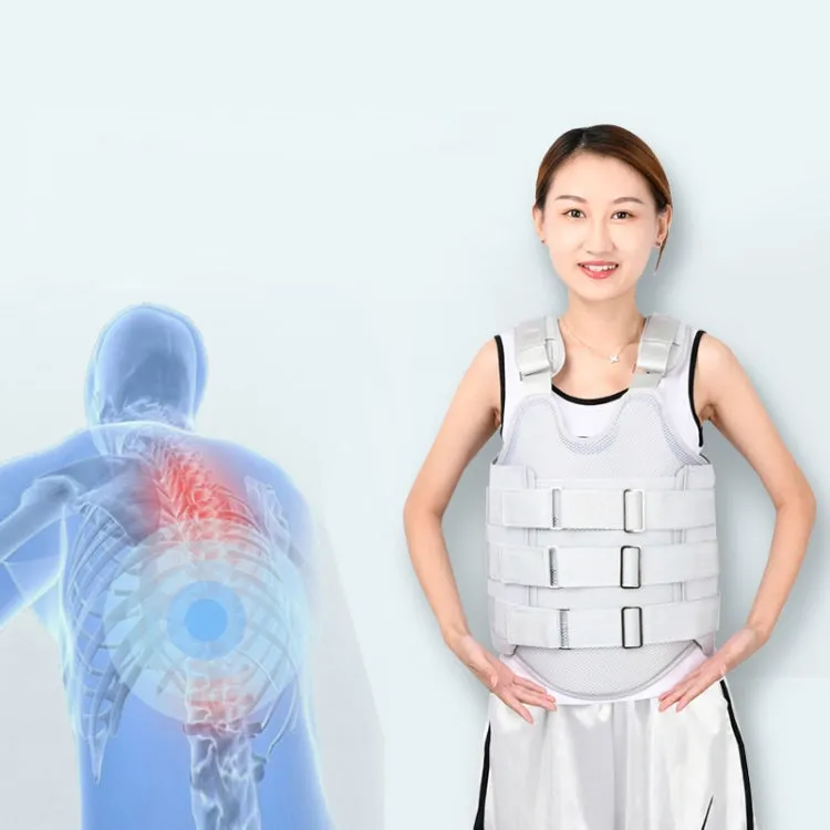 Regular Style Thoracolumbar Fixation Belt Strap Type Protective Gear Without Airbag, Specification: M